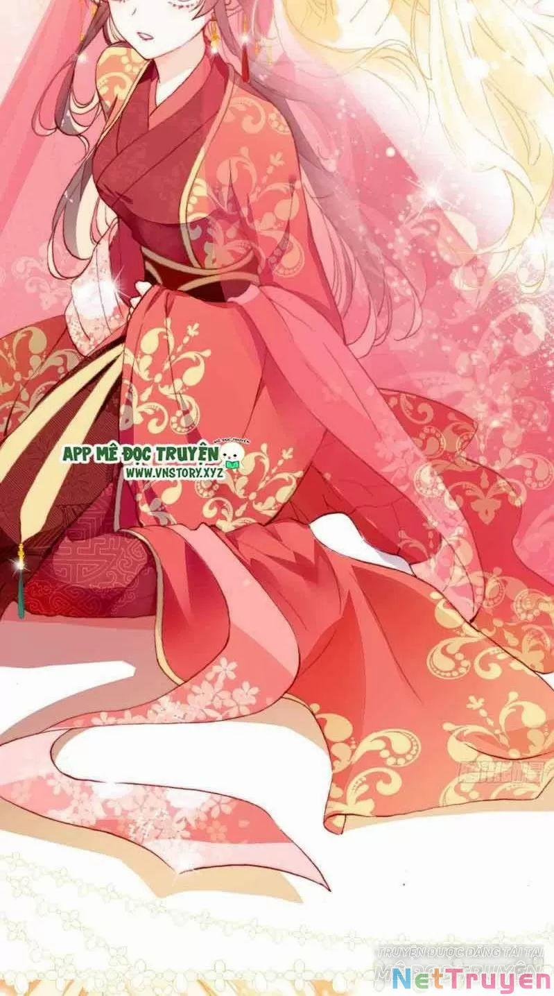 Lại Bị Bệnh Chiều Chuộng Quấn Lấy 0 Sở Trường Của Ta Chính Là Tâng Bốc trang 20