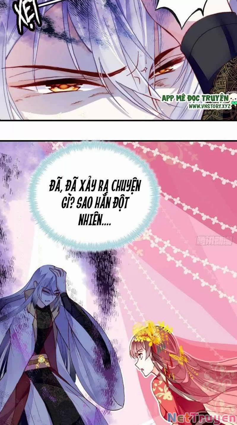 Lại Bị Bệnh Chiều Chuộng Quấn Lấy 0 Sở Trường Của Ta Chính Là Tâng Bốc trang 22