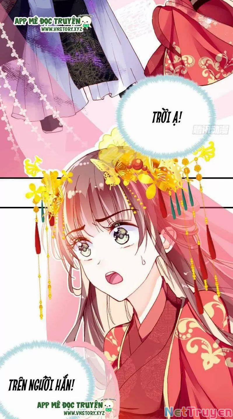 Lại Bị Bệnh Chiều Chuộng Quấn Lấy 0 Sở Trường Của Ta Chính Là Tâng Bốc trang 23