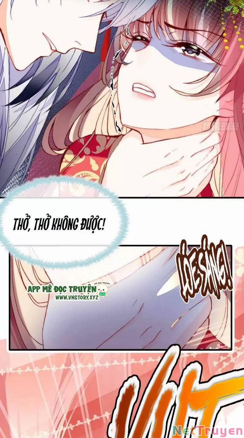 Lại Bị Bệnh Chiều Chuộng Quấn Lấy 0 Sở Trường Của Ta Chính Là Tâng Bốc trang 28