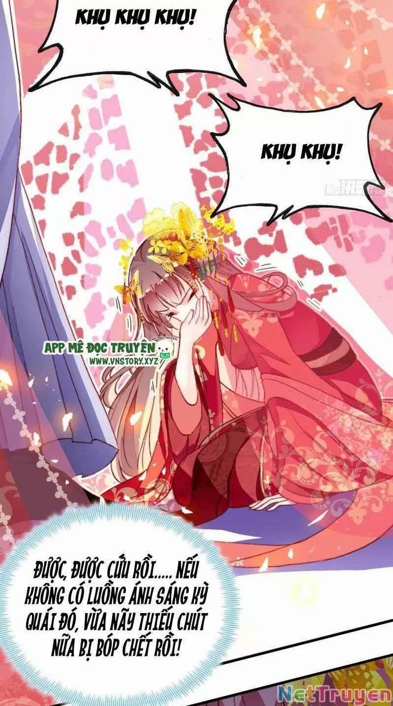 Lại Bị Bệnh Chiều Chuộng Quấn Lấy 0 Sở Trường Của Ta Chính Là Tâng Bốc trang 33
