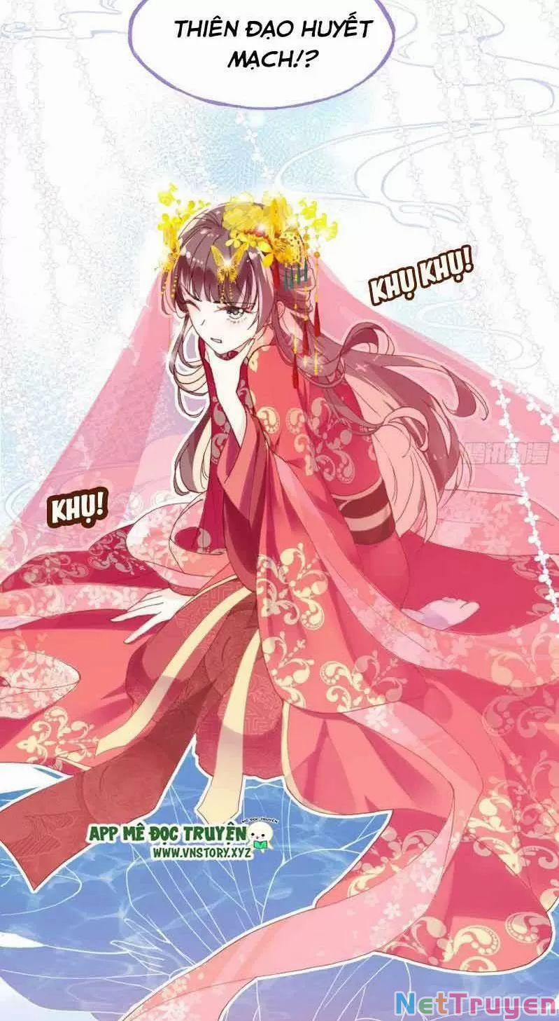 Lại Bị Bệnh Chiều Chuộng Quấn Lấy 0 Sở Trường Của Ta Chính Là Tâng Bốc trang 36