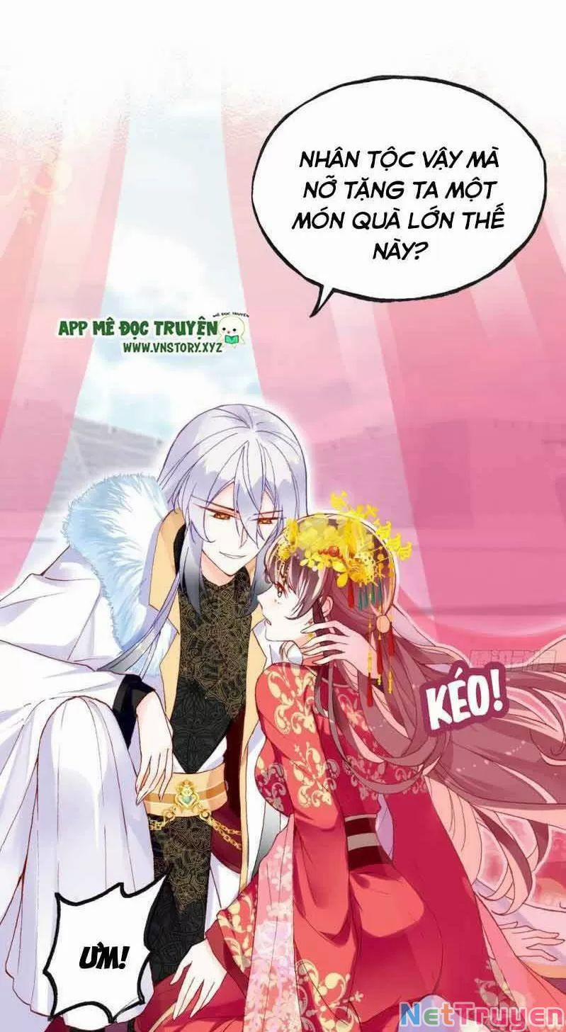 Lại Bị Bệnh Chiều Chuộng Quấn Lấy 0 Sở Trường Của Ta Chính Là Tâng Bốc trang 38
