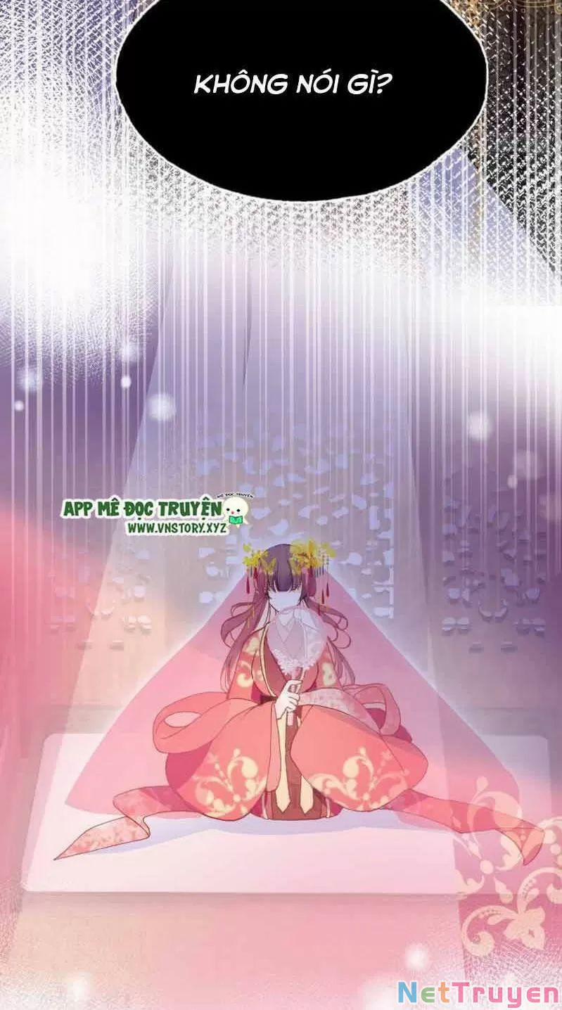 Lại Bị Bệnh Chiều Chuộng Quấn Lấy 0 Sở Trường Của Ta Chính Là Tâng Bốc trang 4