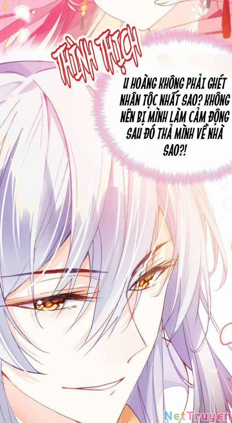Lại Bị Bệnh Chiều Chuộng Quấn Lấy 0 Sở Trường Của Ta Chính Là Tâng Bốc trang 43