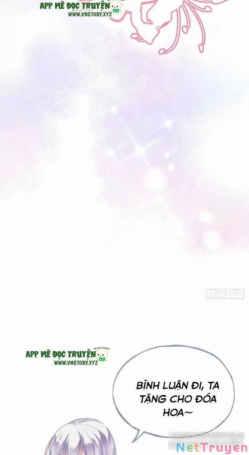 Lại Bị Bệnh Chiều Chuộng Quấn Lấy 0 Sở Trường Của Ta Chính Là Tâng Bốc trang 45