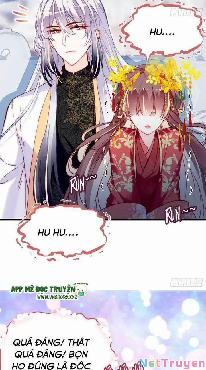 Lại Bị Bệnh Chiều Chuộng Quấn Lấy 0 Ta điên lên ngay cả bản thân cũng chém trang 23