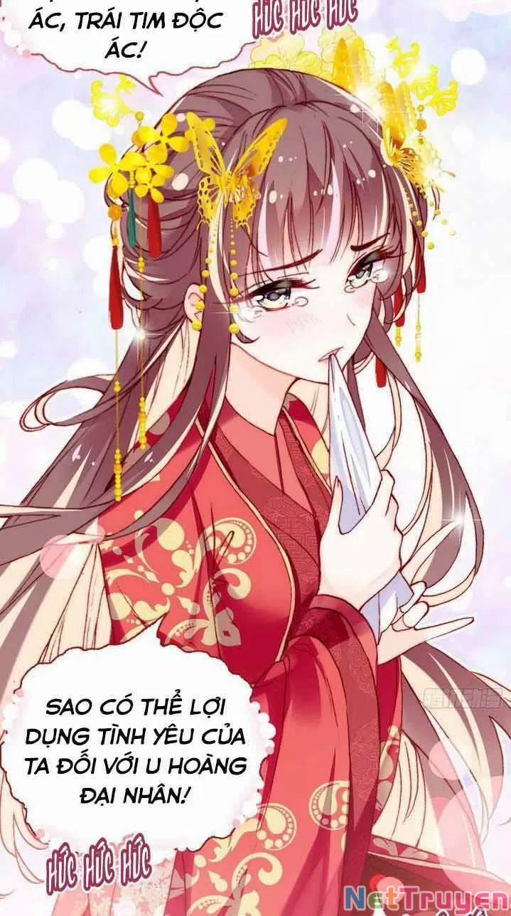 Lại Bị Bệnh Chiều Chuộng Quấn Lấy 0 Ta điên lên ngay cả bản thân cũng chém trang 24