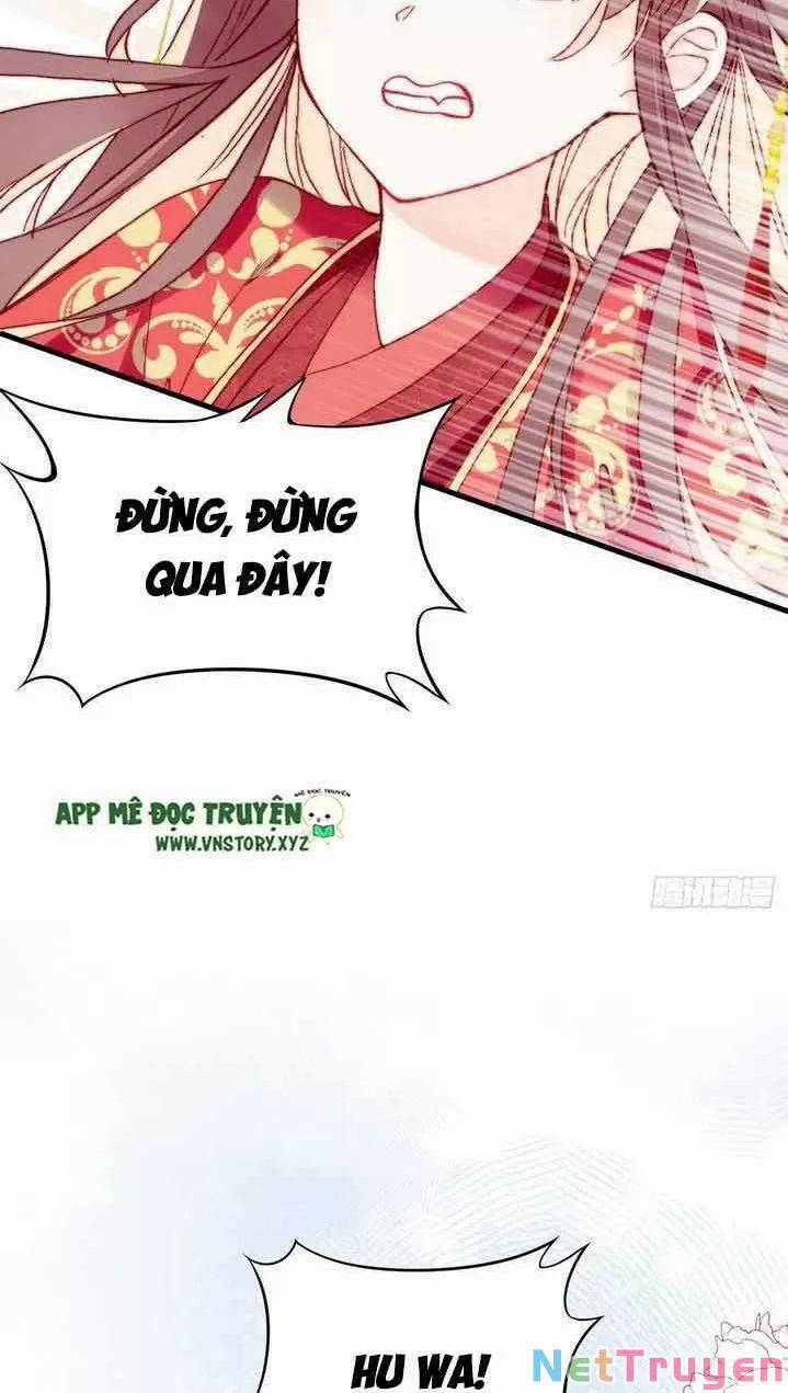 Lại Bị Bệnh Chiều Chuộng Quấn Lấy 0 Ta điên lên ngay cả bản thân cũng chém trang 50