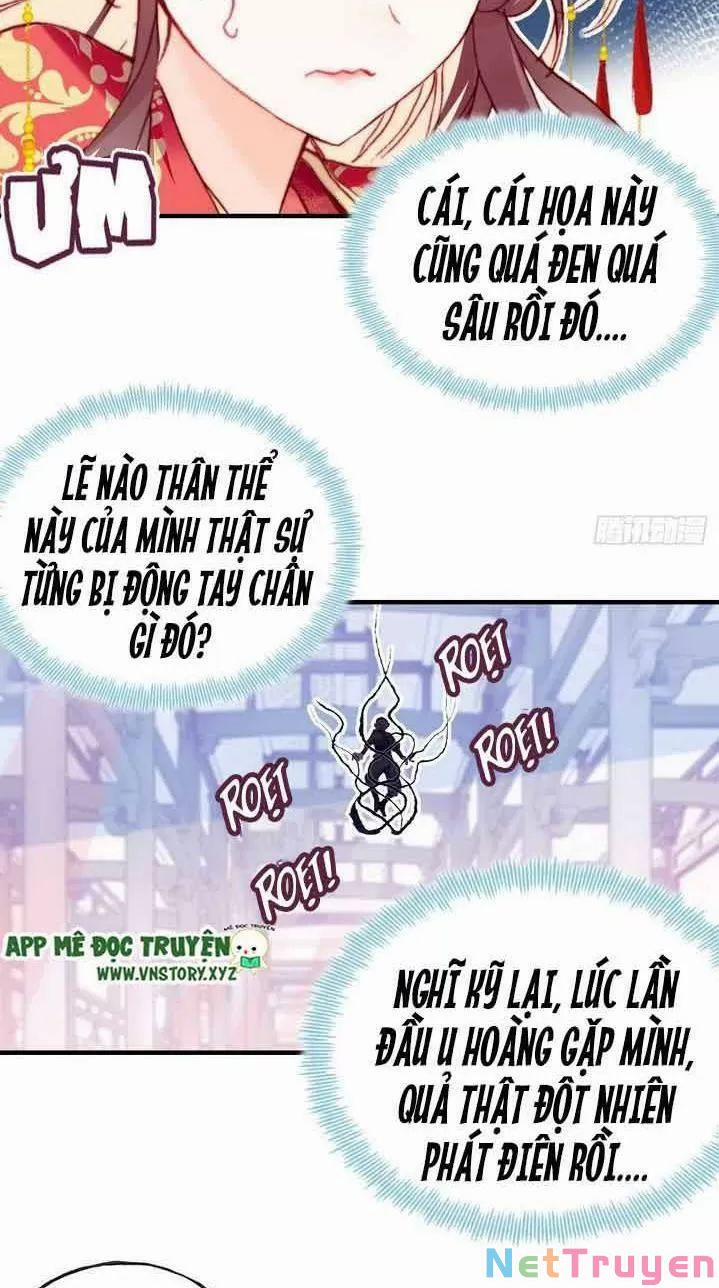 Lại Bị Bệnh Chiều Chuộng Quấn Lấy 0 Ta điên lên ngay cả bản thân cũng chém trang 8