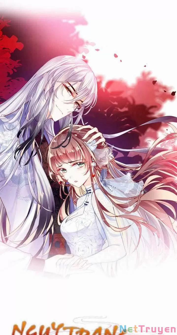 Lại Bị Bệnh Chiều Chuộng Quấn Lấy 0 Ta khinh trang 0