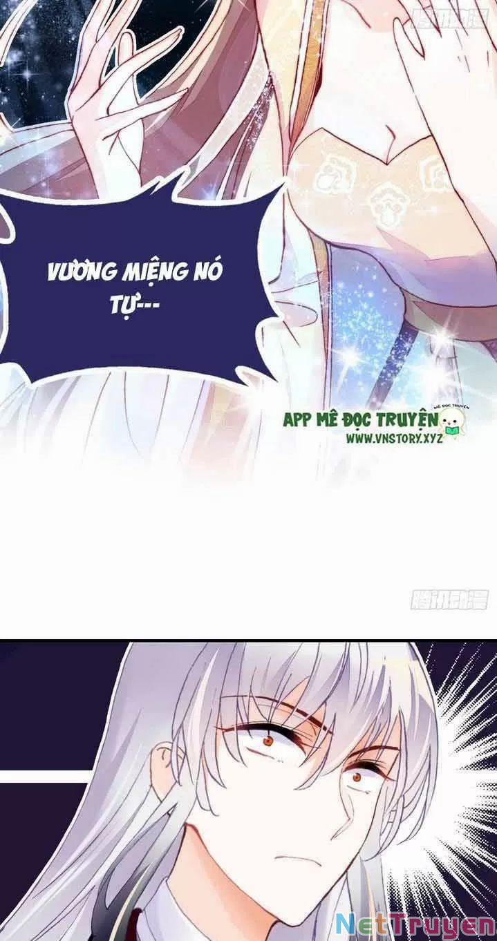 Lại Bị Bệnh Chiều Chuộng Quấn Lấy 0 Ta khinh trang 10
