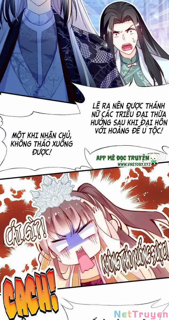 Lại Bị Bệnh Chiều Chuộng Quấn Lấy 0 Ta khinh trang 13