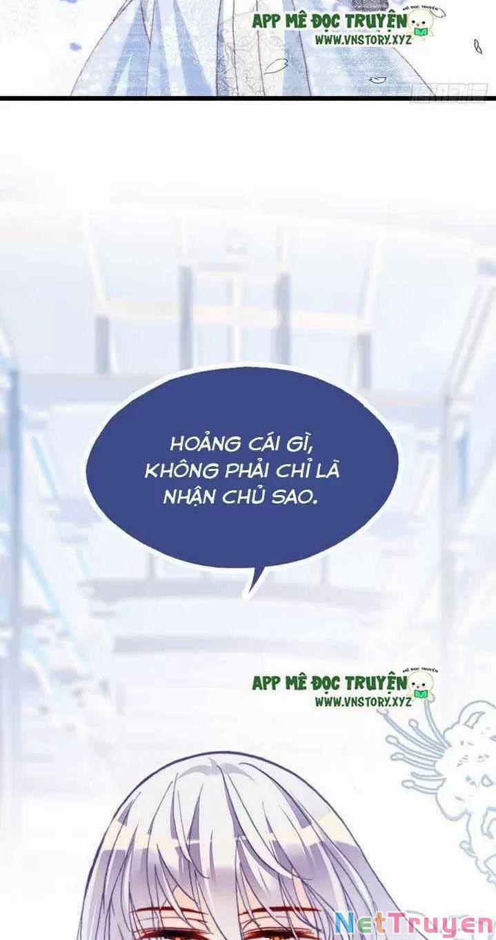 Lại Bị Bệnh Chiều Chuộng Quấn Lấy 0 Ta khinh trang 15