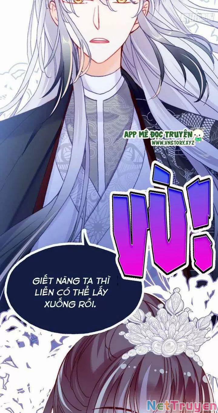 Lại Bị Bệnh Chiều Chuộng Quấn Lấy 0 Ta khinh trang 16