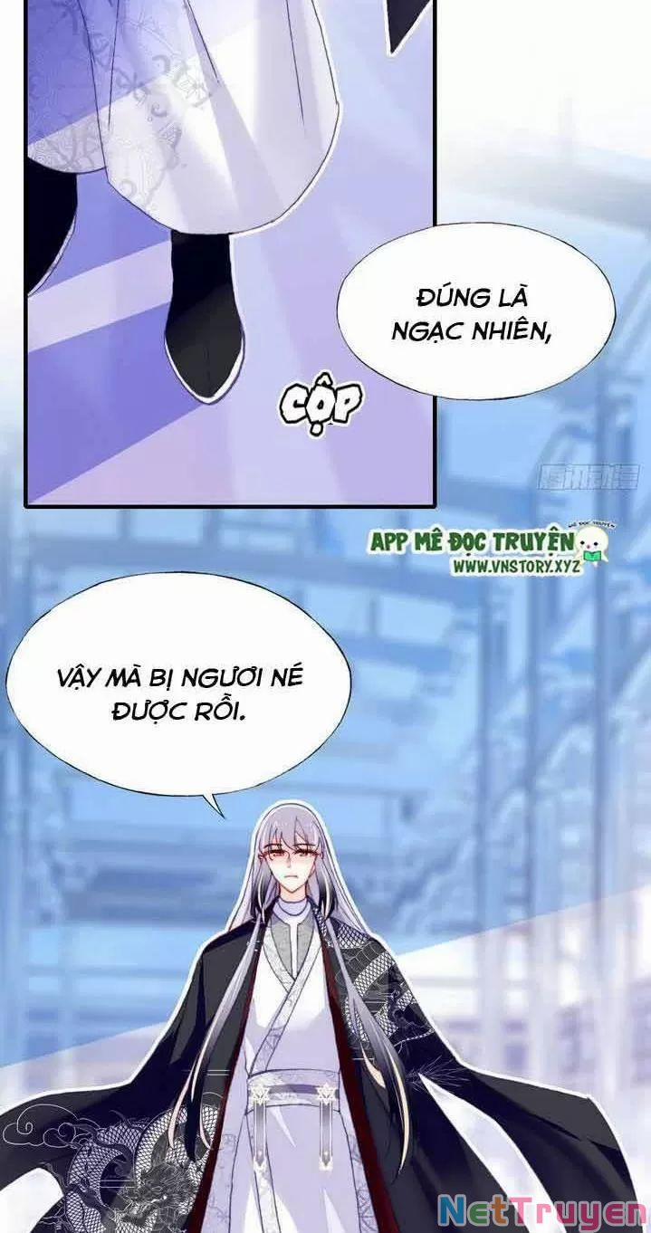 Lại Bị Bệnh Chiều Chuộng Quấn Lấy 0 Ta khinh trang 25