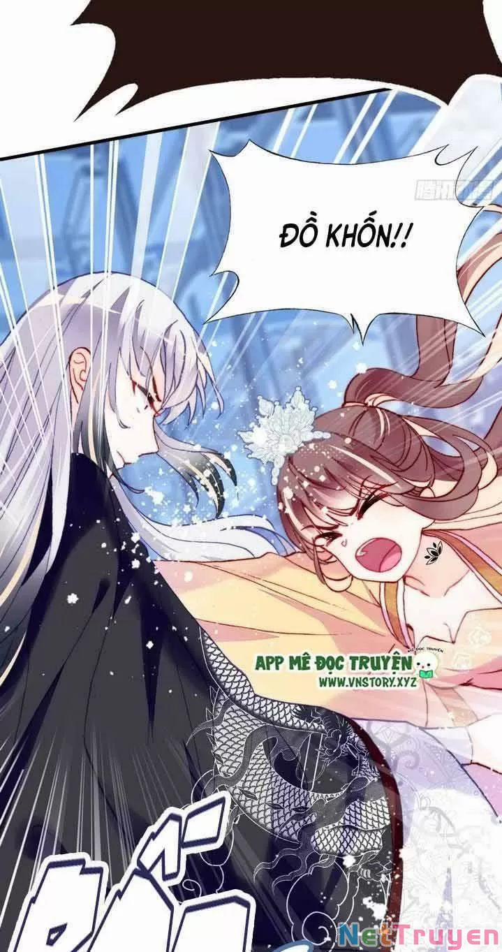 Lại Bị Bệnh Chiều Chuộng Quấn Lấy 0 Ta khinh trang 34