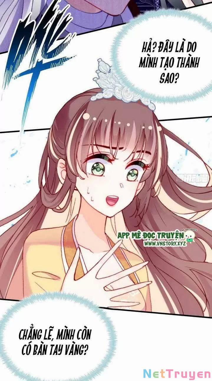 Lại Bị Bệnh Chiều Chuộng Quấn Lấy 0 Ta khinh trang 41