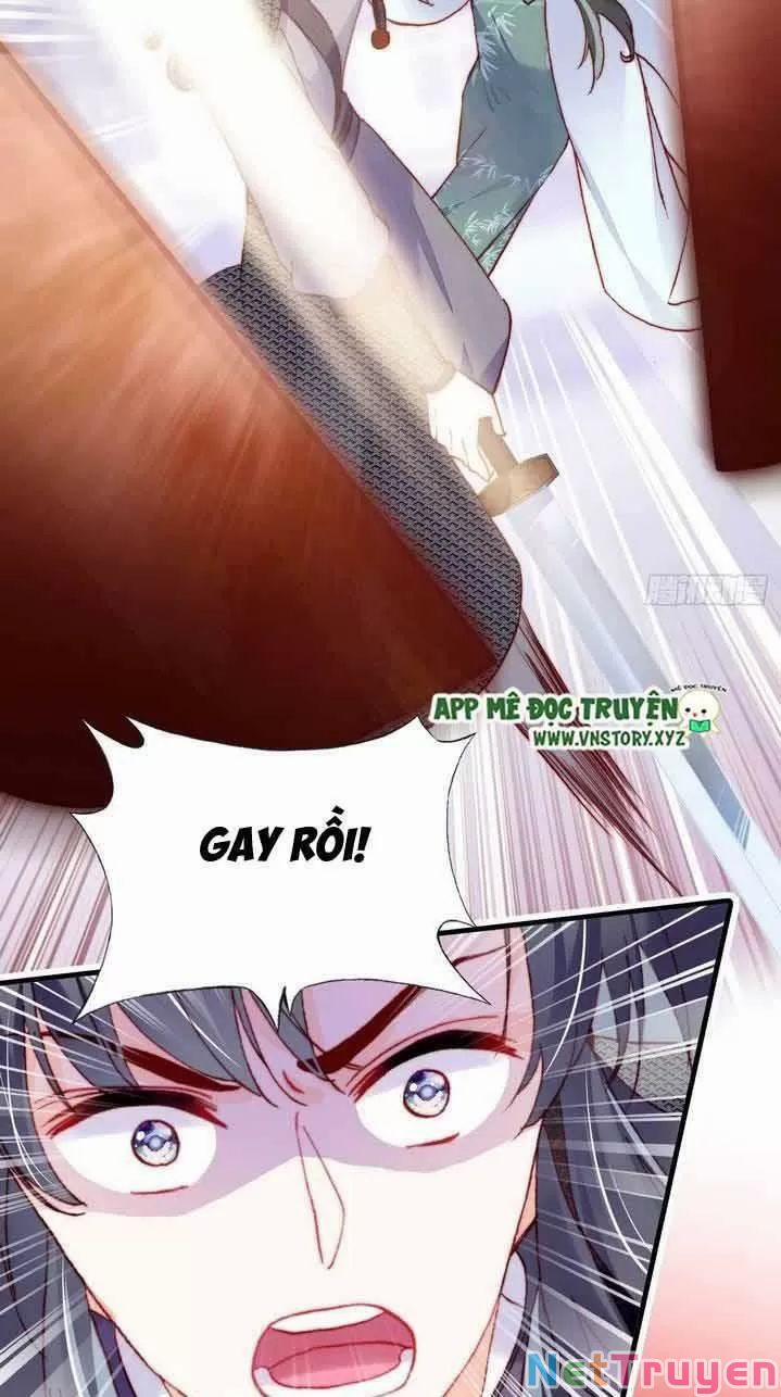 Lại Bị Bệnh Chiều Chuộng Quấn Lấy 0 Ta khinh trang 50