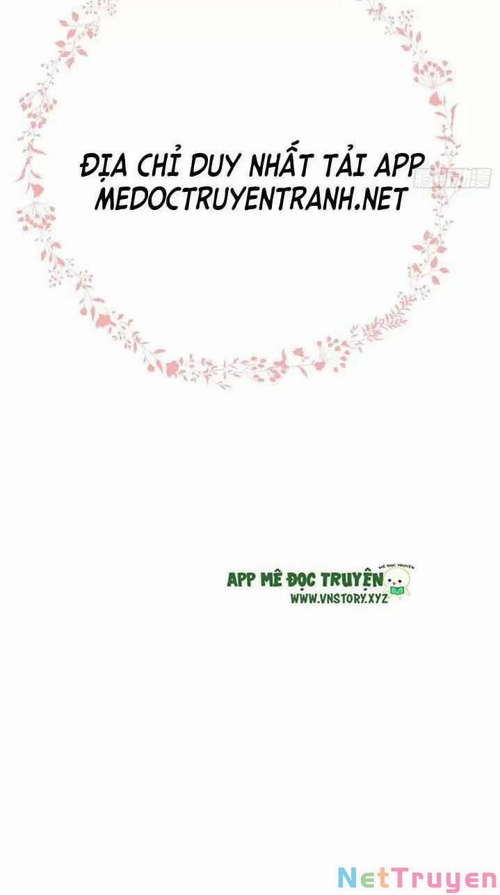 Lại Bị Bệnh Chiều Chuộng Quấn Lấy 0 Ta khinh trang 58