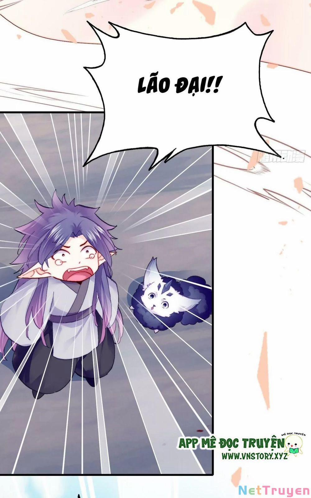 Lại Bị Bệnh Chiều Chuộng Quấn Lấy 0 Thần rơi xuống trang 42