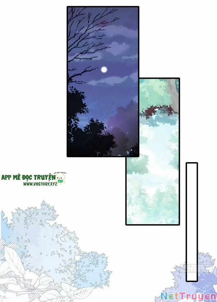 Lại Bị Bệnh Chiều Chuộng Quấn Lấy 0 Thiên đạo thần nữ trang 12