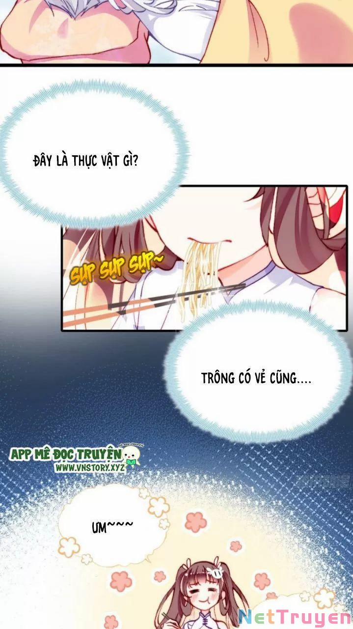 Lại Bị Bệnh Chiều Chuộng Quấn Lấy 0 Thiếu niên, ngươi biết giang hồ hiểm ác không? trang 10