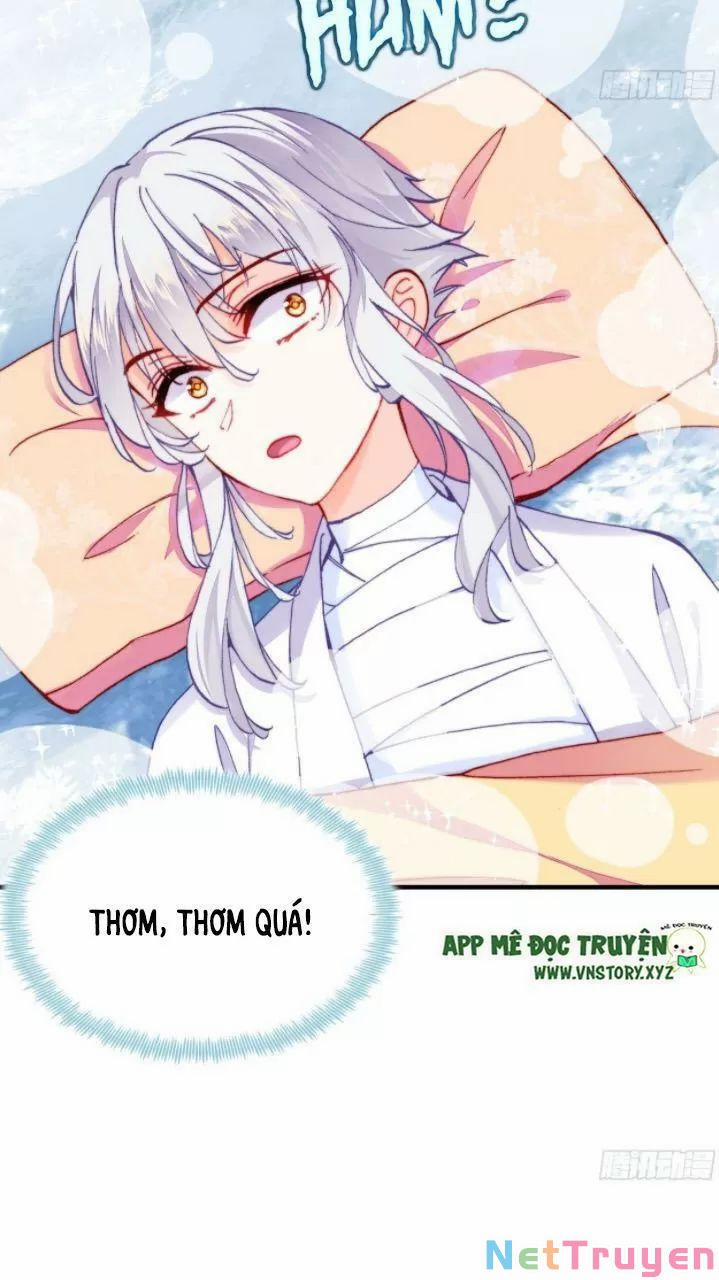 Lại Bị Bệnh Chiều Chuộng Quấn Lấy 0 Thiếu niên, ngươi biết giang hồ hiểm ác không? trang 14