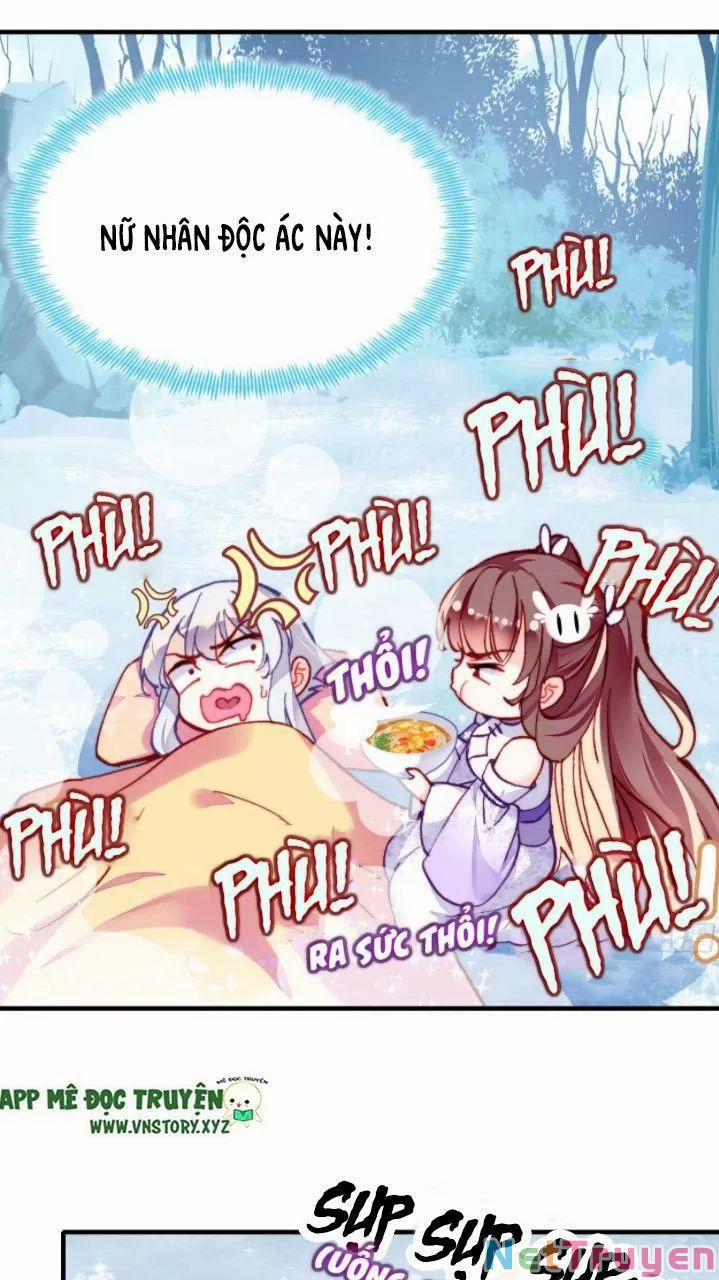 Lại Bị Bệnh Chiều Chuộng Quấn Lấy 0 Thiếu niên, ngươi biết giang hồ hiểm ác không? trang 15