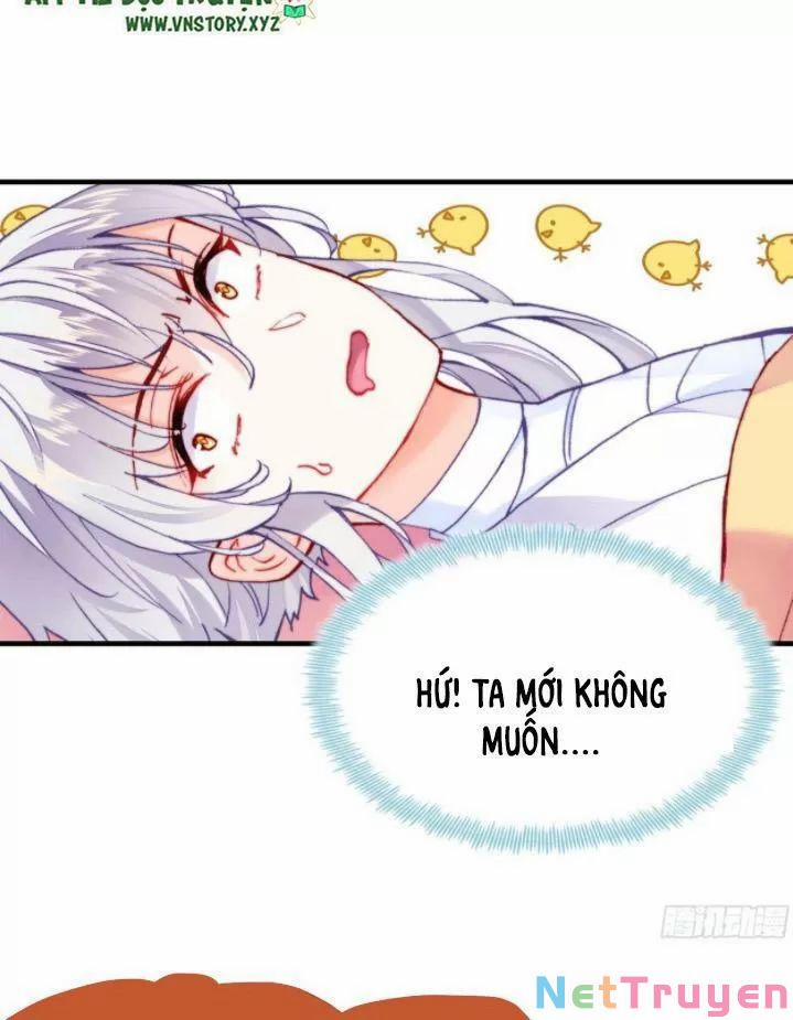 Lại Bị Bệnh Chiều Chuộng Quấn Lấy 0 Thiếu niên, ngươi biết giang hồ hiểm ác không? trang 21