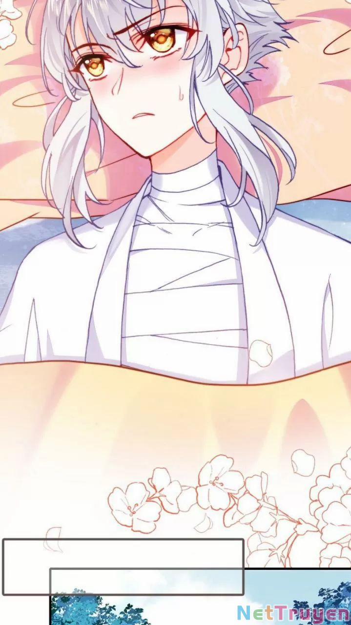 Lại Bị Bệnh Chiều Chuộng Quấn Lấy 0 Thiếu niên, ngươi biết giang hồ hiểm ác không? trang 24