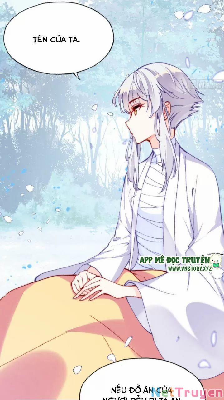 Lại Bị Bệnh Chiều Chuộng Quấn Lấy 0 Thiếu niên, ngươi biết giang hồ hiểm ác không? trang 33