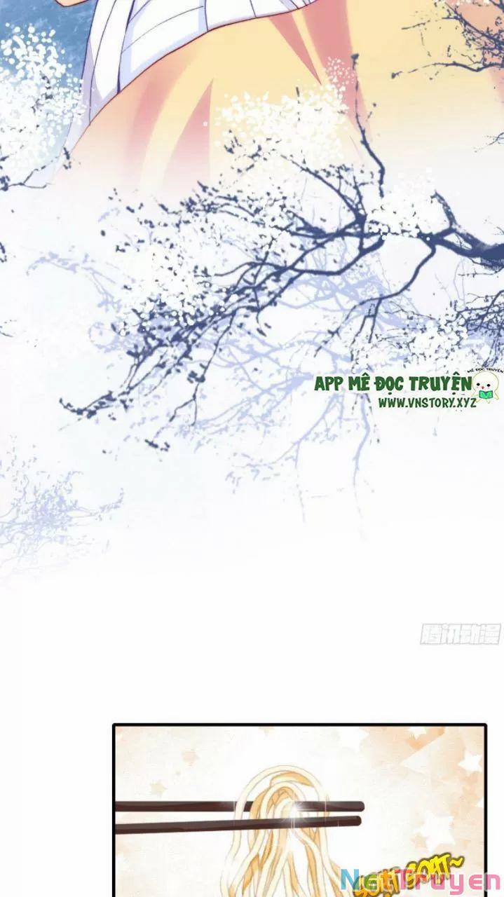 Lại Bị Bệnh Chiều Chuộng Quấn Lấy 0 Thiếu niên, ngươi biết giang hồ hiểm ác không? trang 4