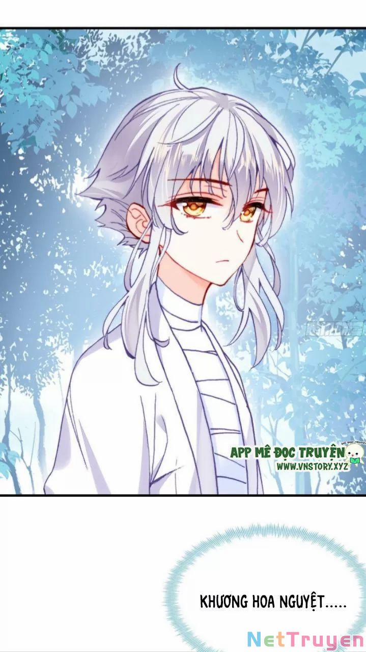 Lại Bị Bệnh Chiều Chuộng Quấn Lấy 0 Thiếu niên, ngươi biết giang hồ hiểm ác không? trang 47