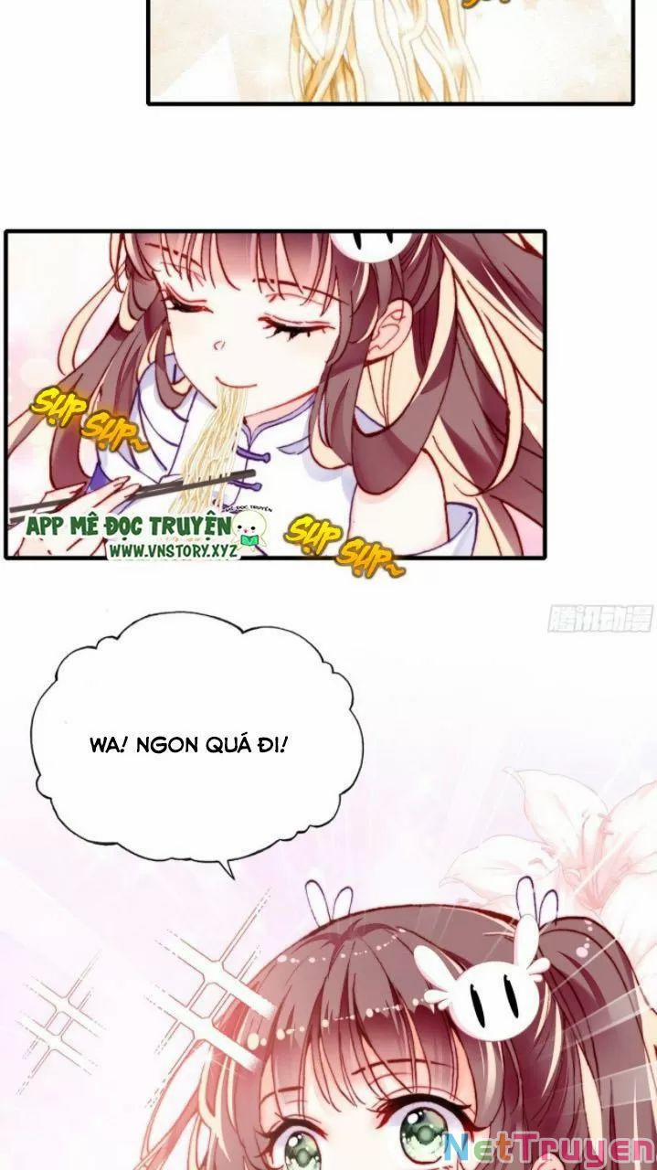 Lại Bị Bệnh Chiều Chuộng Quấn Lấy 0 Thiếu niên, ngươi biết giang hồ hiểm ác không? trang 5