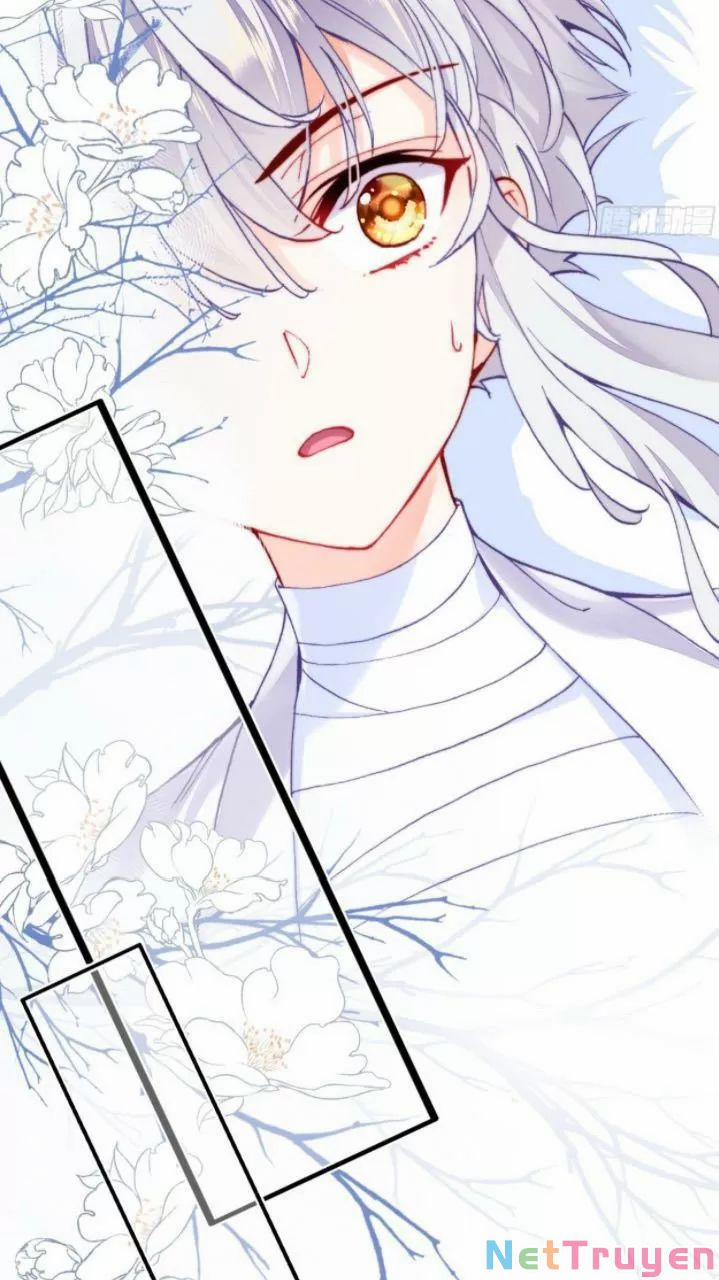 Lại Bị Bệnh Chiều Chuộng Quấn Lấy 0 Thiếu niên, ngươi biết giang hồ hiểm ác không? trang 7