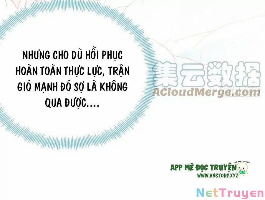 Lại Bị Bệnh Chiều Chuộng Quấn Lấy 0 Tiên và phàm trang 12