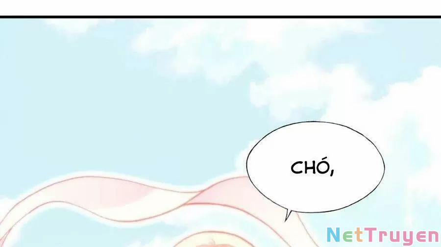 Lại Bị Bệnh Chiều Chuộng Quấn Lấy 0 Tiên và phàm trang 23