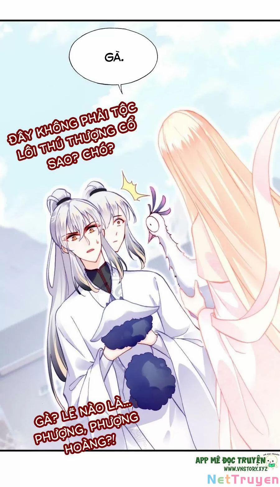 Lại Bị Bệnh Chiều Chuộng Quấn Lấy 0 Tiên và phàm trang 26