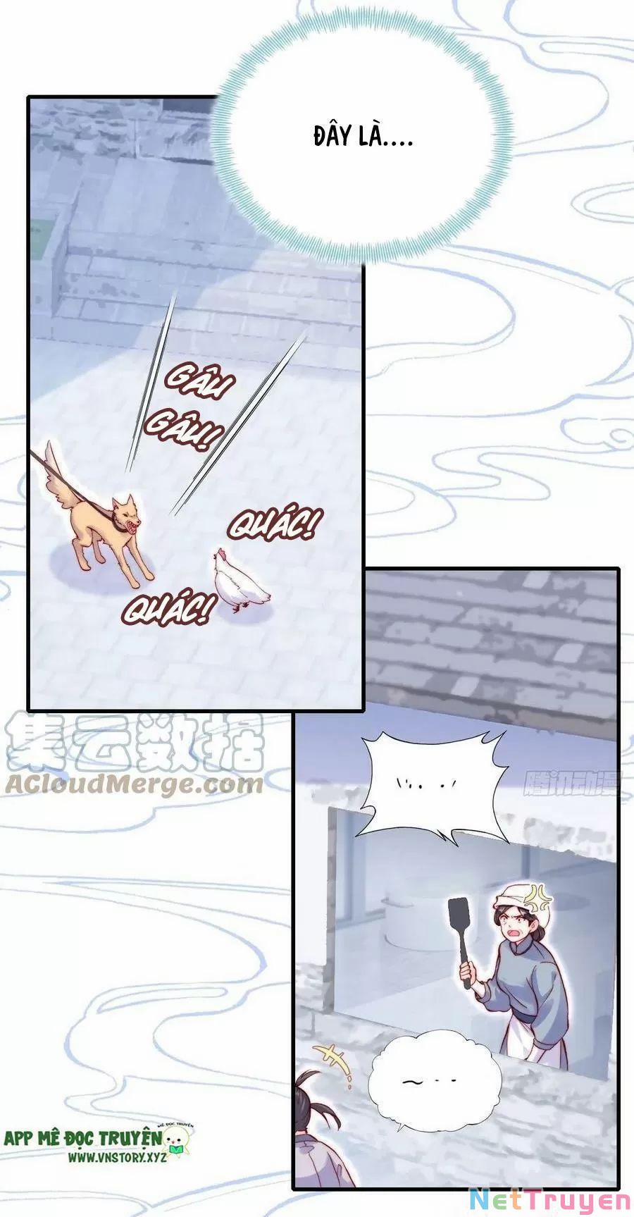 Lại Bị Bệnh Chiều Chuộng Quấn Lấy 0 Tiên và phàm trang 37