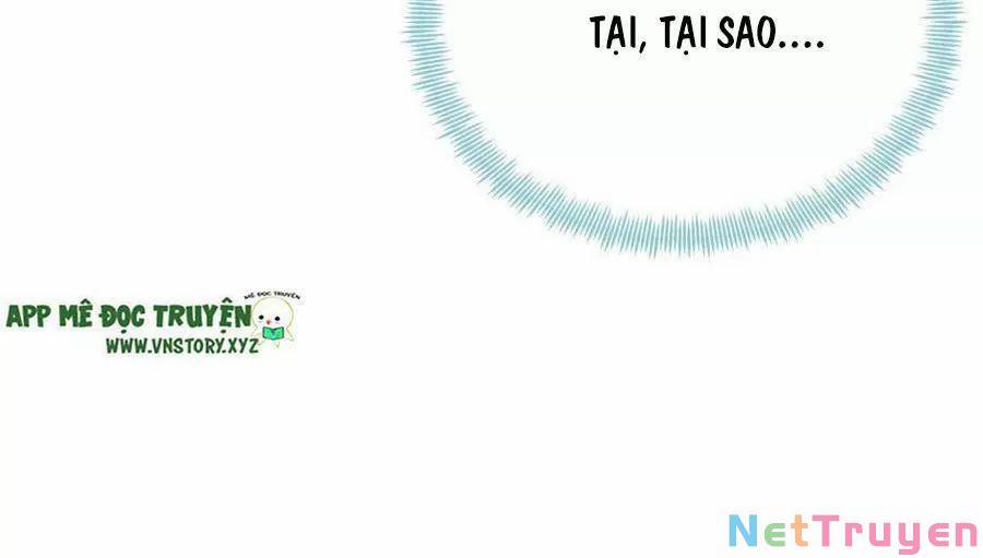 Lại Bị Bệnh Chiều Chuộng Quấn Lấy 0 Tiên và phàm trang 40