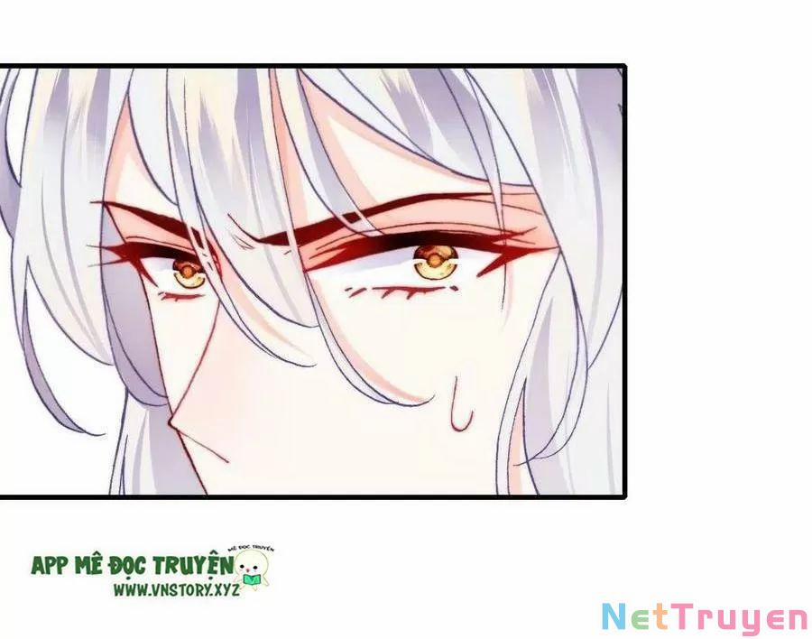 Lại Bị Bệnh Chiều Chuộng Quấn Lấy 0 Tiên và phàm trang 46