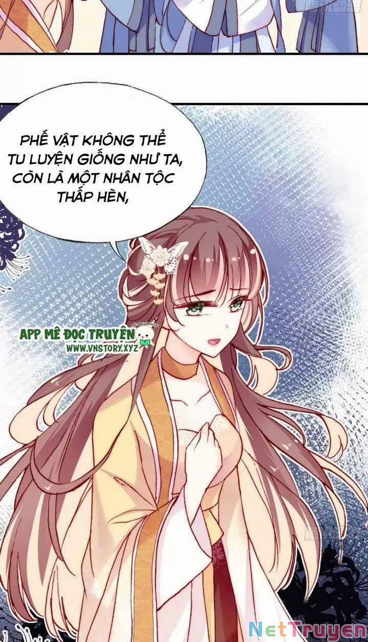 Lại Bị Bệnh Chiều Chuộng Quấn Lấy 0 Trước Mắt Hổ Là Mèo Bệnh trang 14