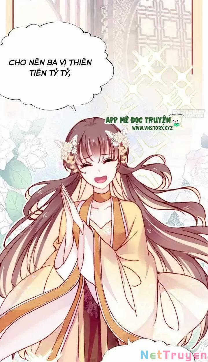 Lại Bị Bệnh Chiều Chuộng Quấn Lấy 0 Trước Mắt Hổ Là Mèo Bệnh trang 19