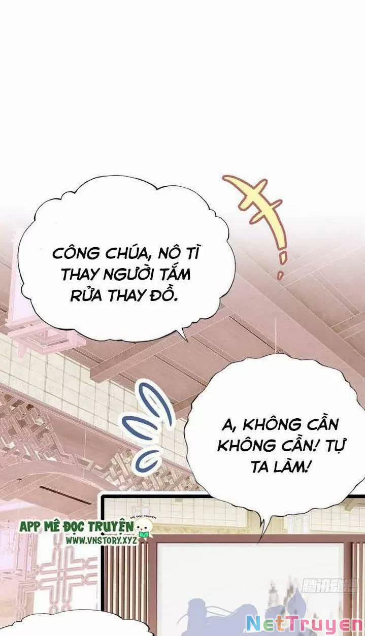 Lại Bị Bệnh Chiều Chuộng Quấn Lấy 0 Trước Mắt Hổ Là Mèo Bệnh trang 2