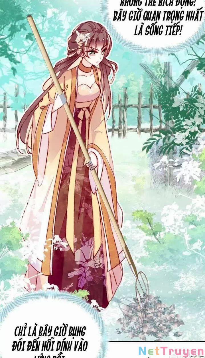 Lại Bị Bệnh Chiều Chuộng Quấn Lấy 0 Trước Mắt Hổ Là Mèo Bệnh trang 28