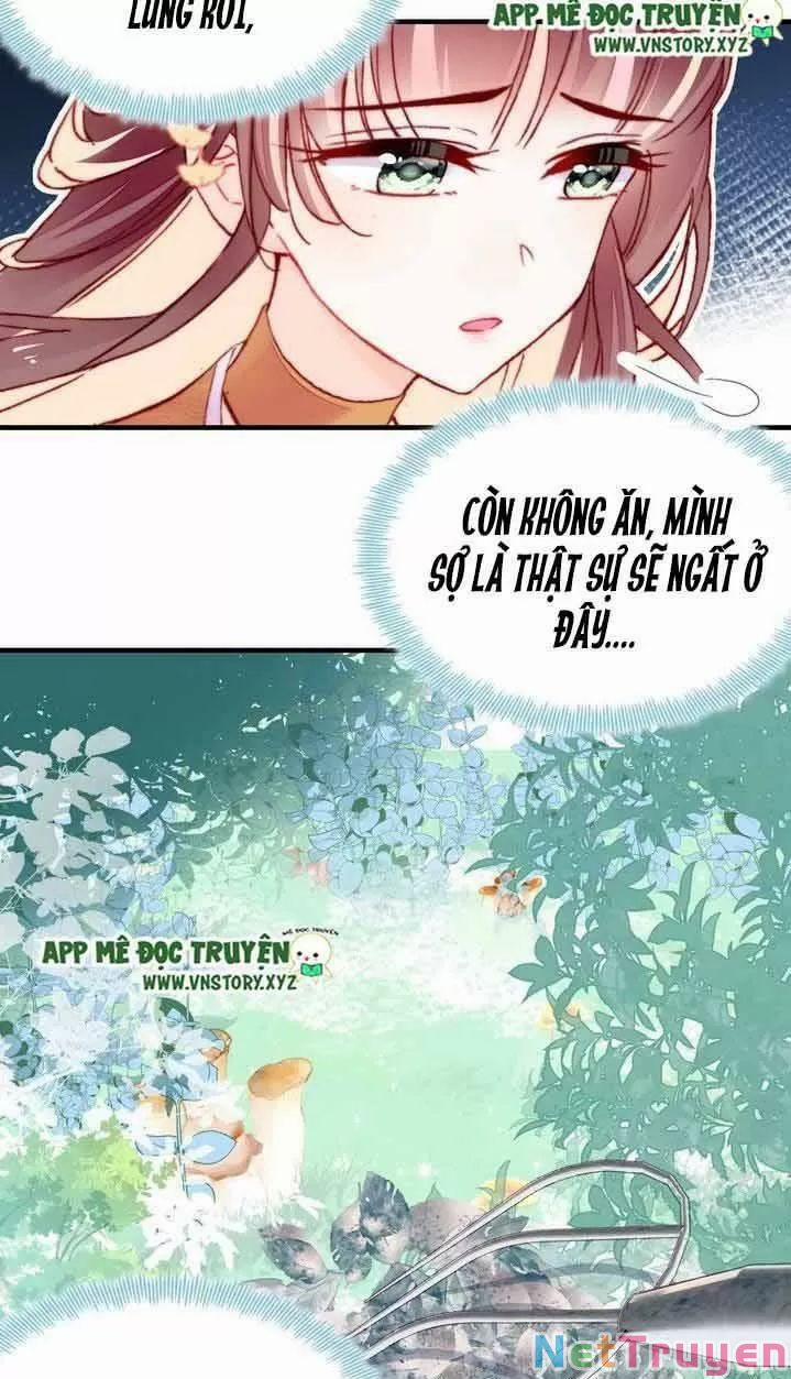 Lại Bị Bệnh Chiều Chuộng Quấn Lấy 0 Trước Mắt Hổ Là Mèo Bệnh trang 29