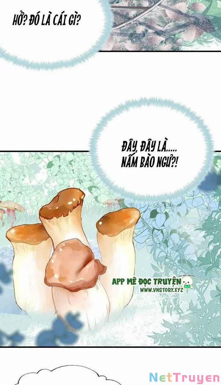 Lại Bị Bệnh Chiều Chuộng Quấn Lấy 0 Trước Mắt Hổ Là Mèo Bệnh trang 30