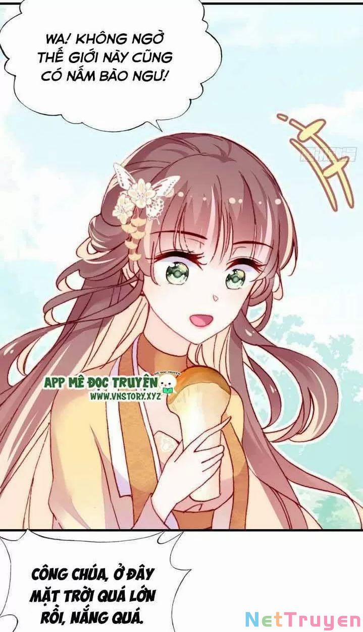 Lại Bị Bệnh Chiều Chuộng Quấn Lấy 0 Trước Mắt Hổ Là Mèo Bệnh trang 31