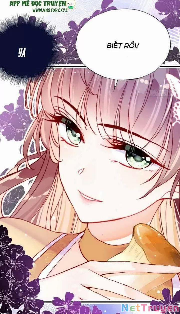 Lại Bị Bệnh Chiều Chuộng Quấn Lấy 0 Trước Mắt Hổ Là Mèo Bệnh trang 33